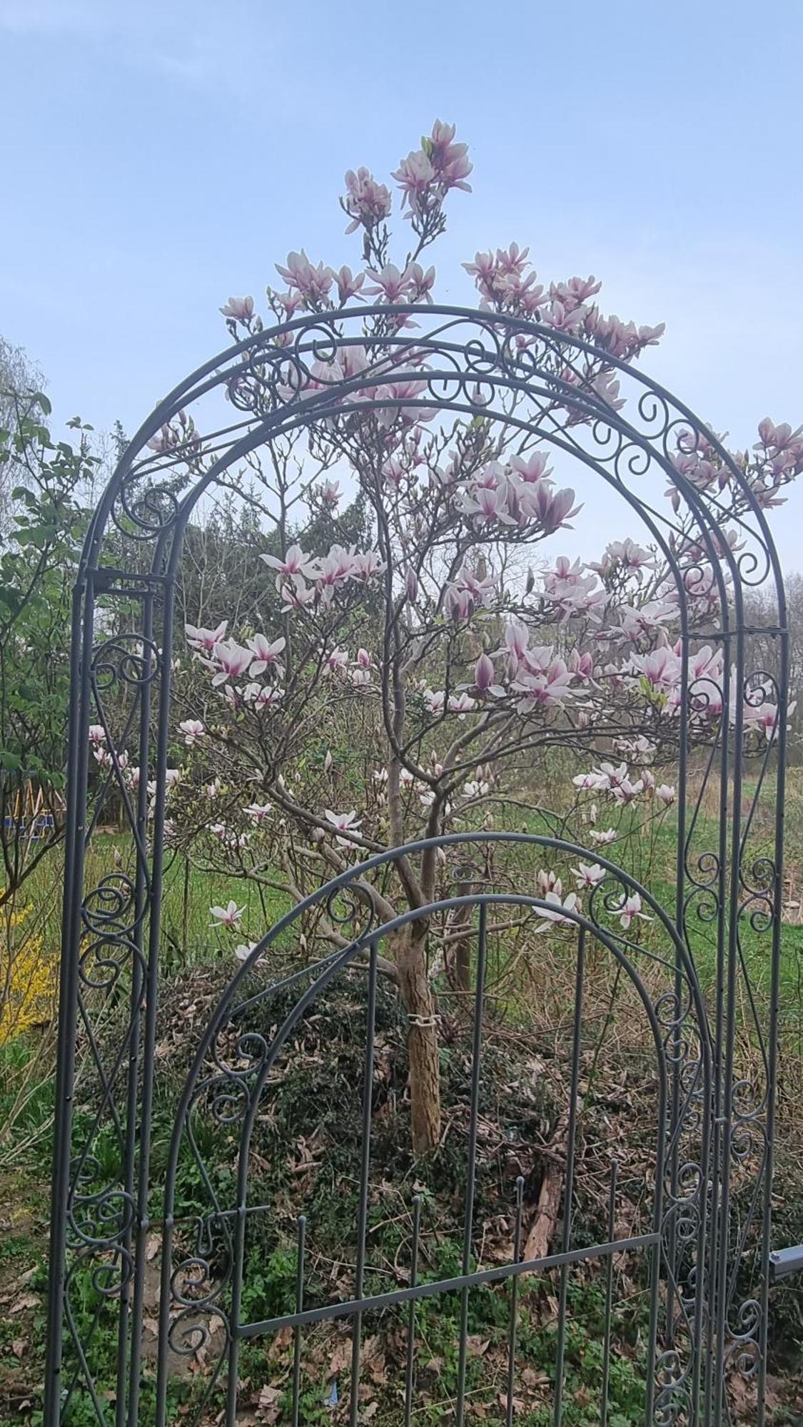 Altmarkblick Erbenhausen Buitenkant foto