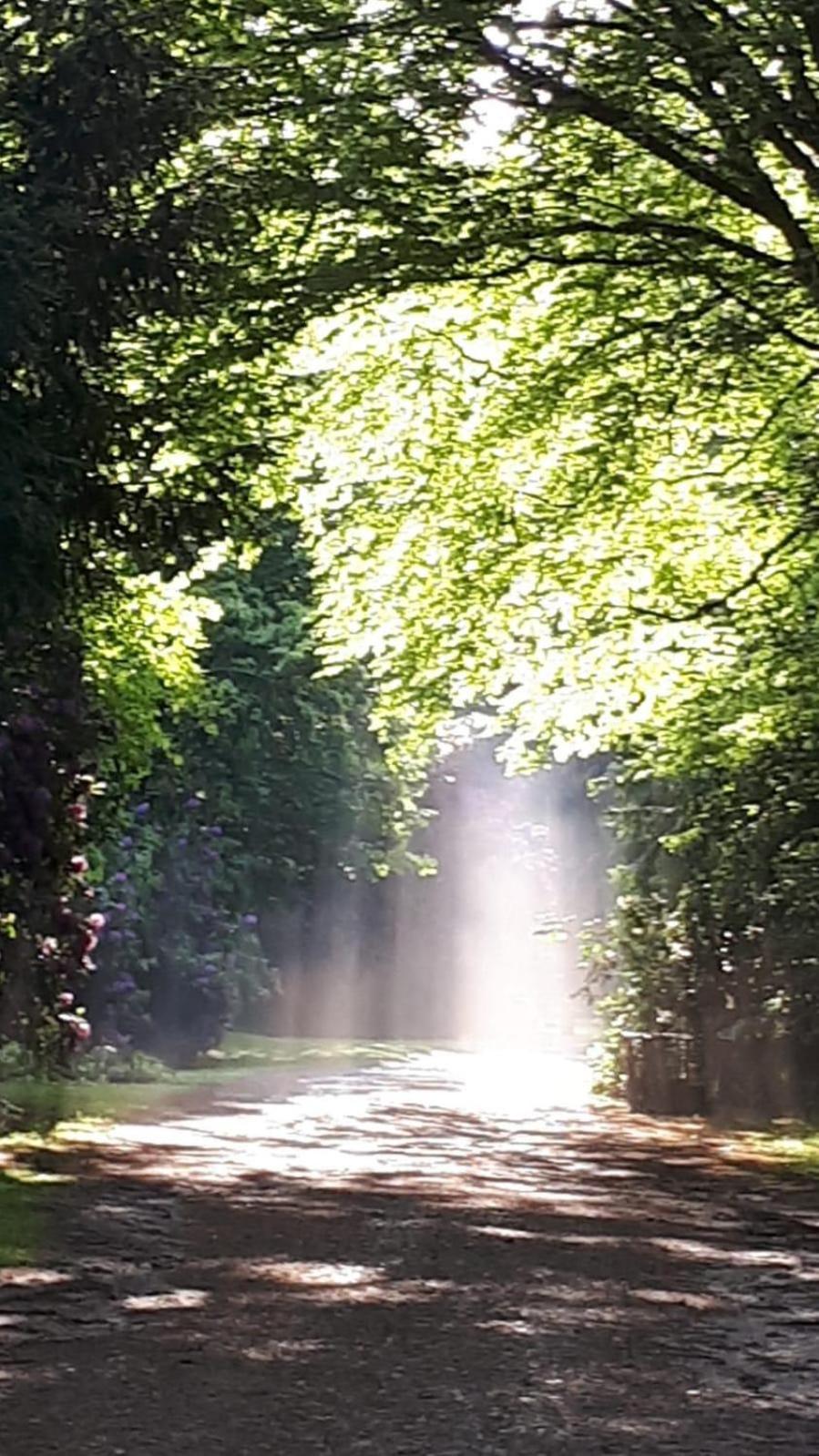 Altmarkblick Erbenhausen Buitenkant foto